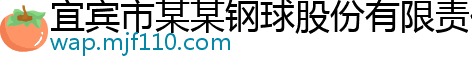 宜宾市某某钢球股份有限责任公司